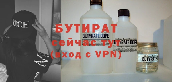 прущие грибы Новозыбков