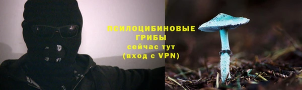 стафф Няндома