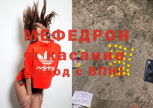 прущие грибы Новозыбков