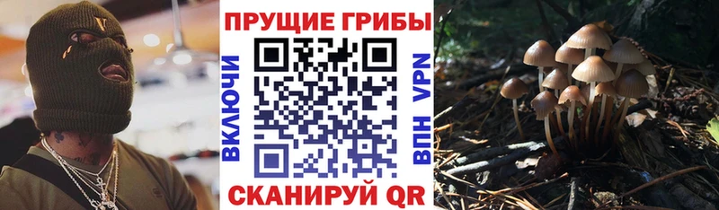 OMG ссылки  Новотроицк  сайты даркнета формула  Галлюциногенные грибы GOLDEN TEACHER 